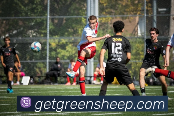 赛事专题整合